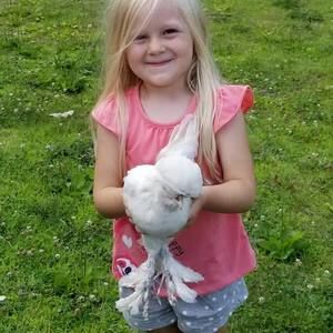 Meet your Posher, Peggy